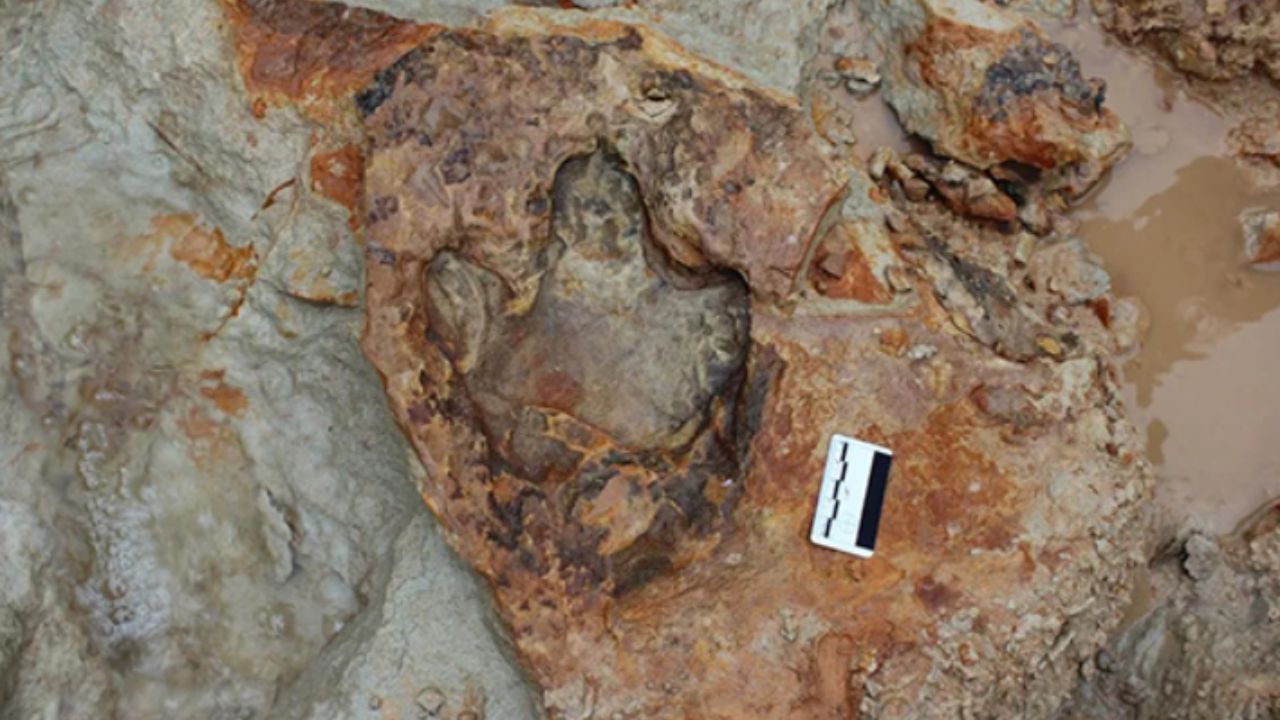 Pesquisadores encontram pegada de dinossauro com ‘preservação inédita’ no RS