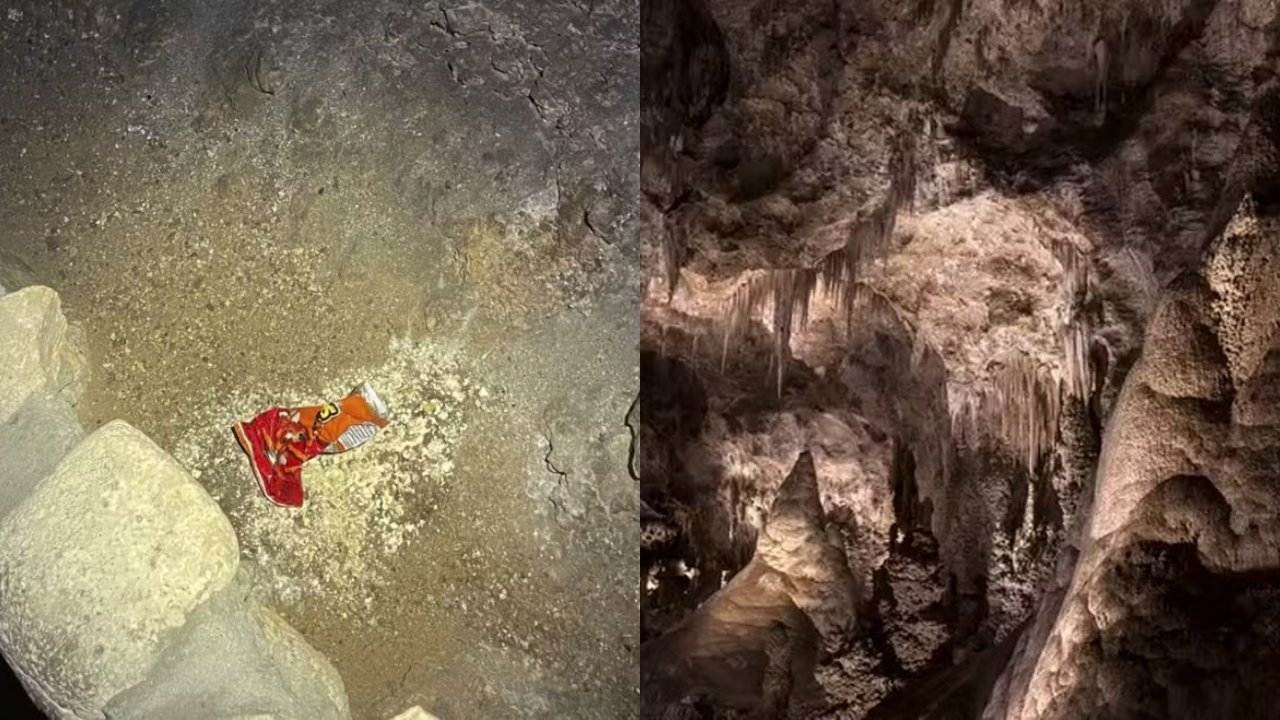 Como um pacote de salgadinhos afetou o ecossistema de caverna nos EUA