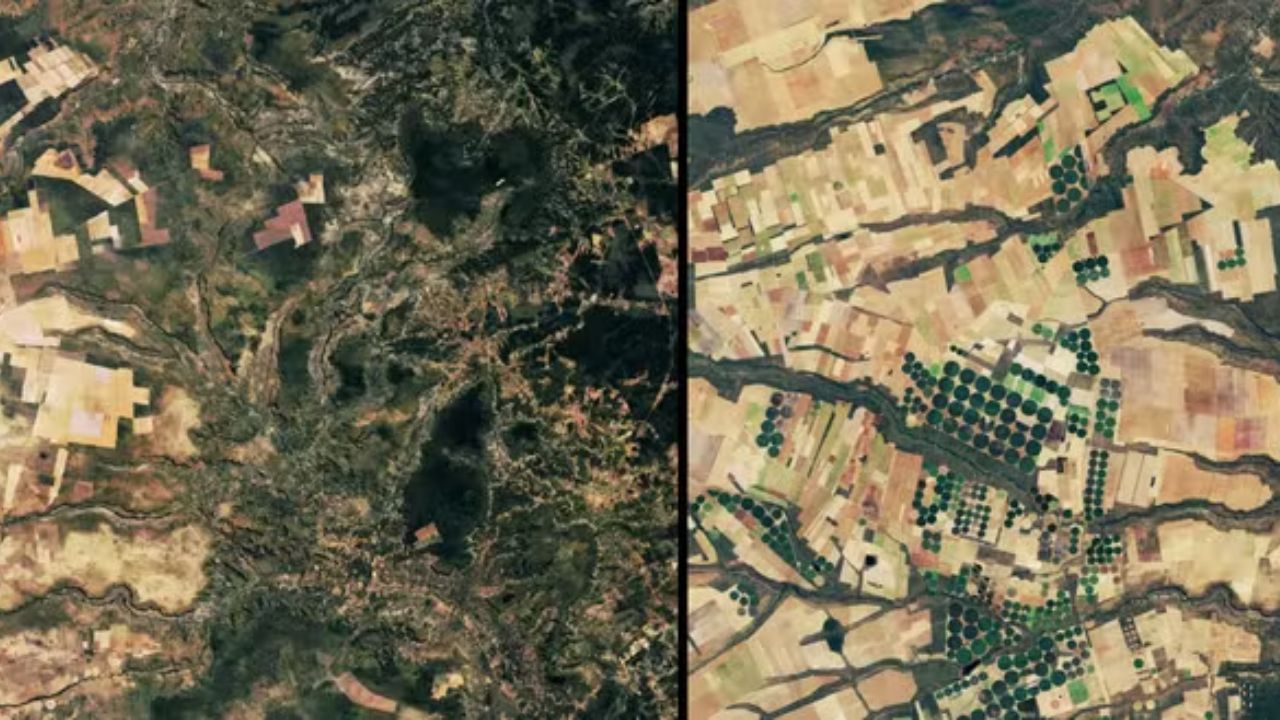 A evolução do desmatamento no Cerrado brasileiro, registrada pela NASA