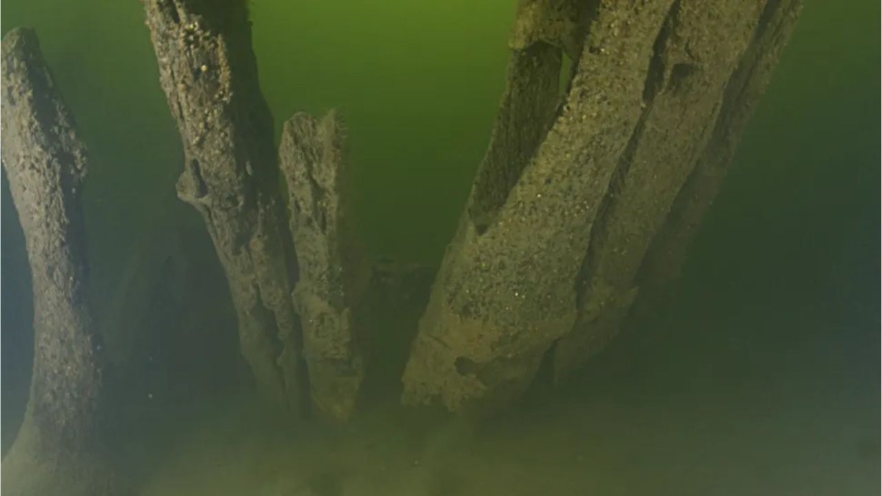 Pesquisadores descobrem equívoco sobre naufrágio ‘viking’
