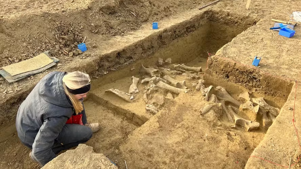 Ossos de mamutes de 25 mil anos são descobertos na Áustria