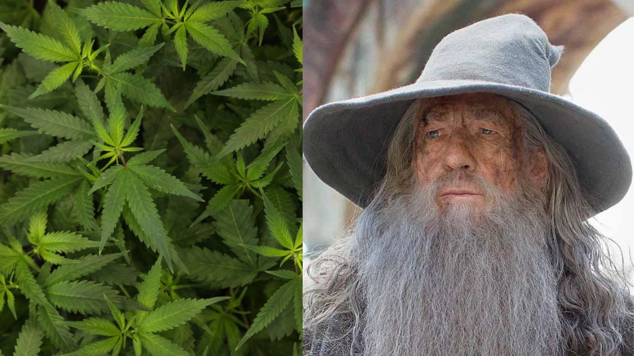 ‘Gandalf’ é acusado de vender canábis de forma clandestina na Nova Zelândia