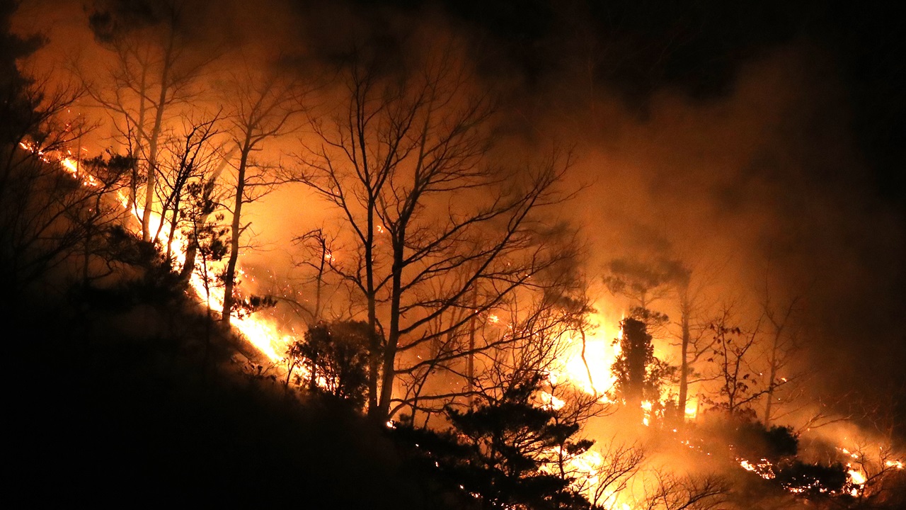 Coreia do Sul: Homem é investigado por incêndio que matou 30 pessoas