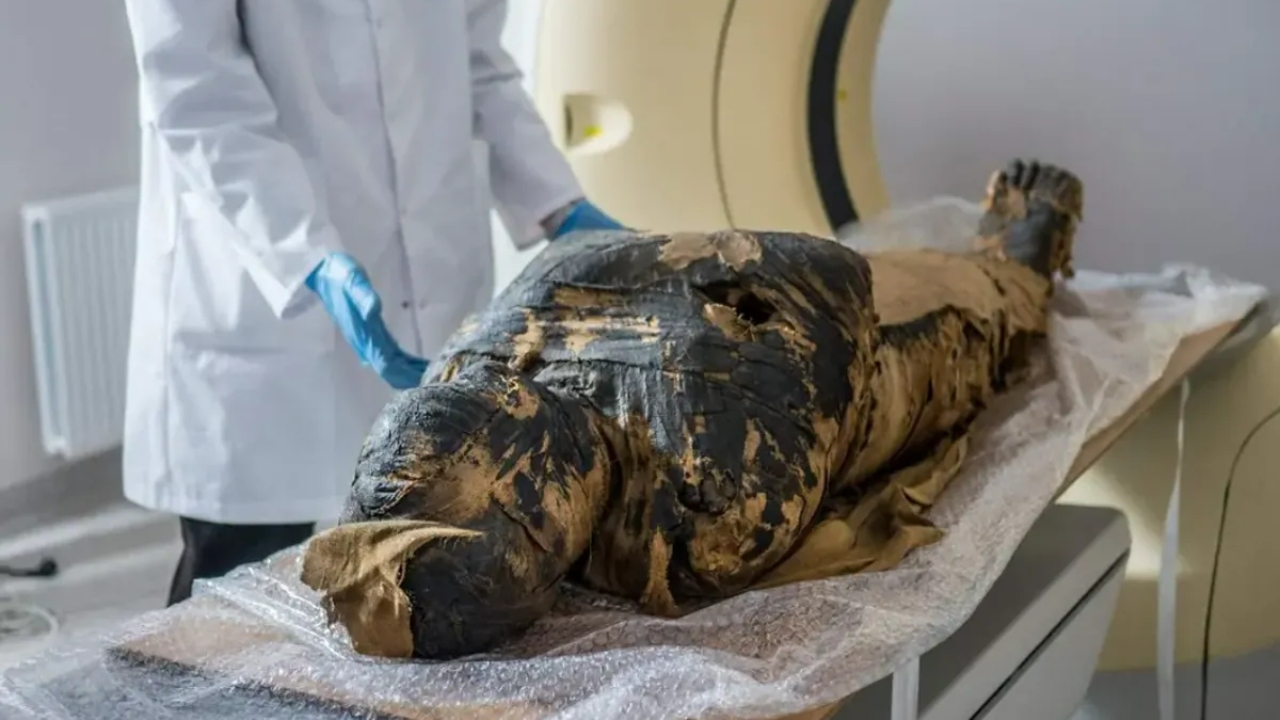 A reviravolta na história da múmia egípcia da ‘Senhora Misteriosa’