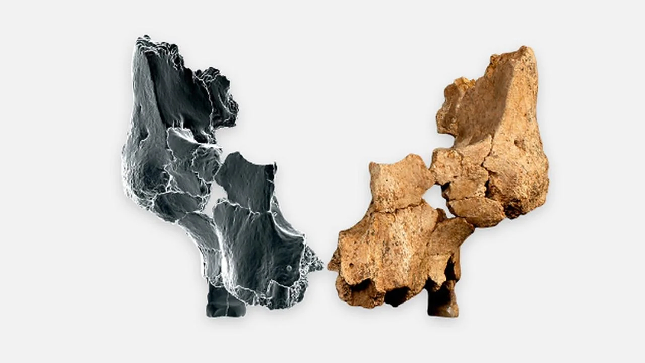 Rosto humano mais antigo encontrado na Espanha pode reescrever história local