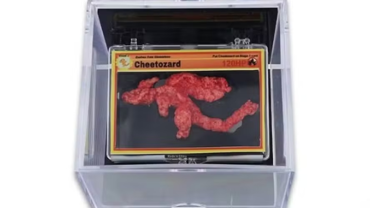Cheetozard: a história do salgadinho vendido por R$ 440 mil em leilão nos EUA