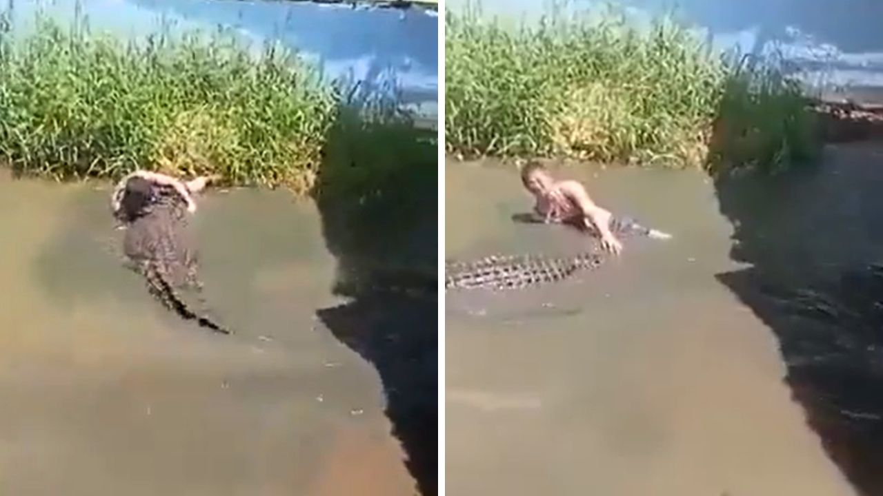 Turista invade recinto de crocodilo para tirar selfies e é atacado