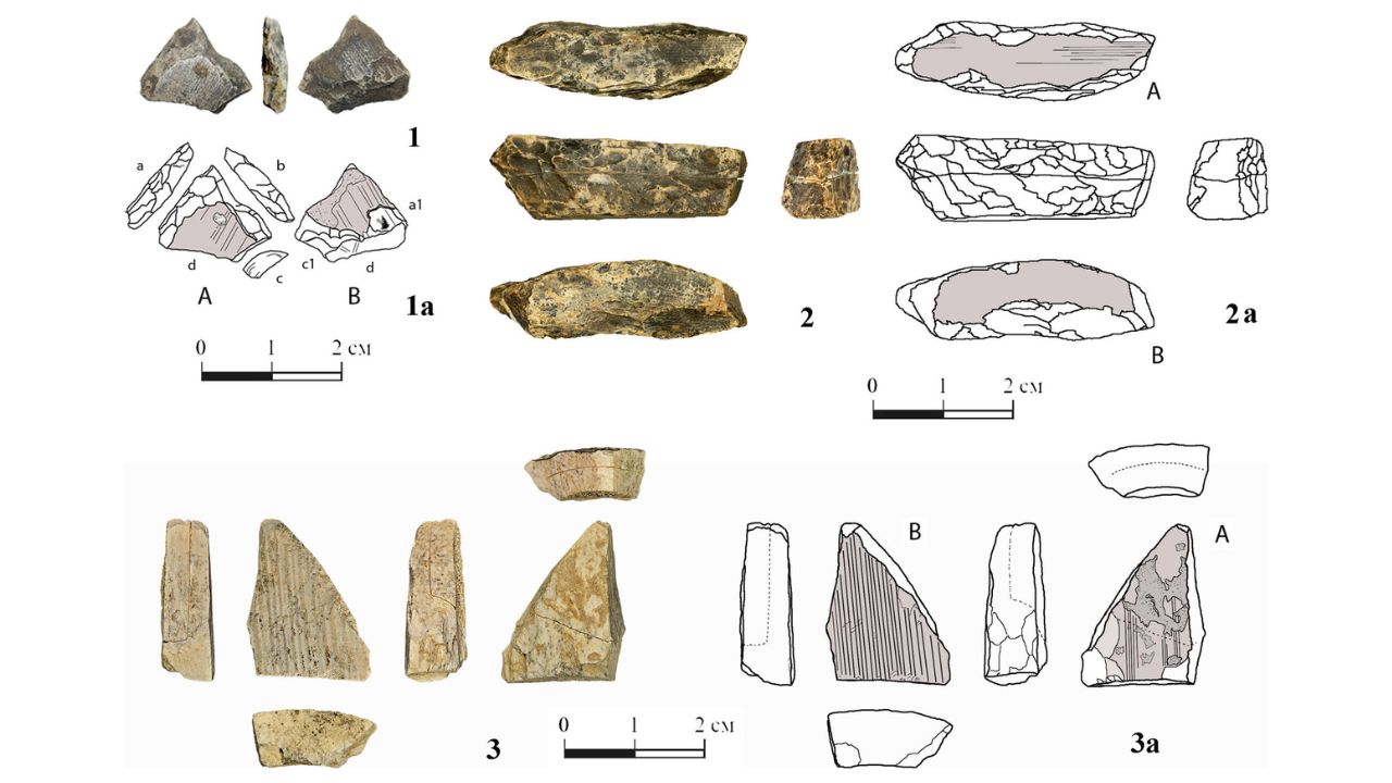 Artefatos de marfim de 400 mil anos podem ser os mais antigos já encontrados