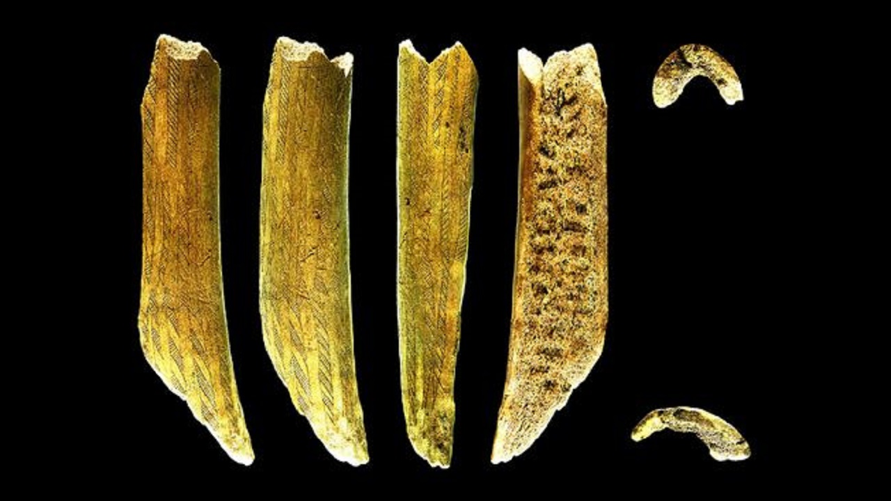 Chifre decorado de 7.500 anos era usado como machado de batalha