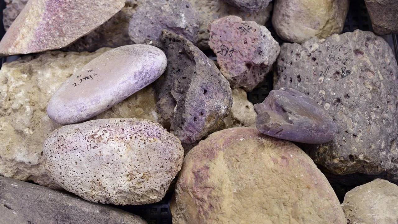 Fábrica de corante roxo da Idade do Ferro é descoberta na costa de Israel