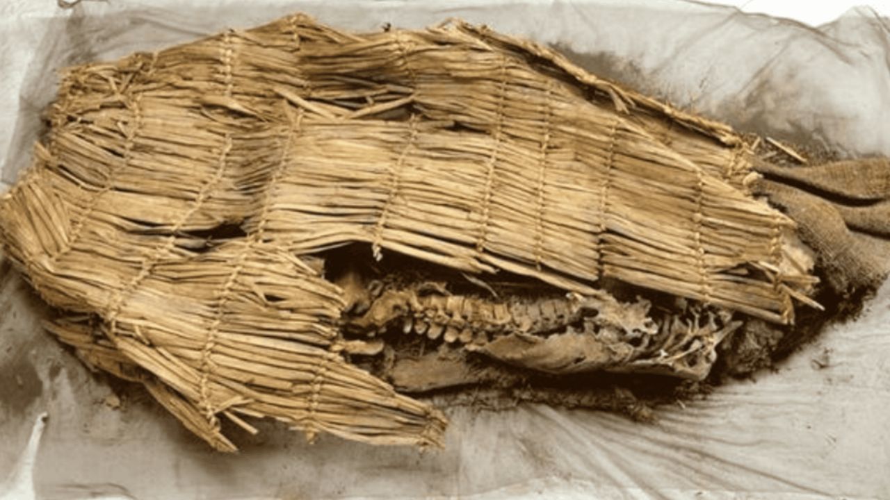 Múmia de mais de 10 mil anos pode reescrever a história das Américas