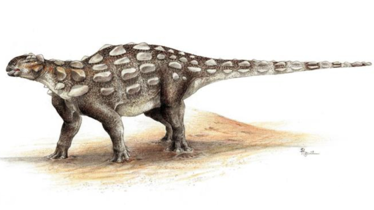 Pegadas de dinossauro com cauda de clava são encontradas no Canadá