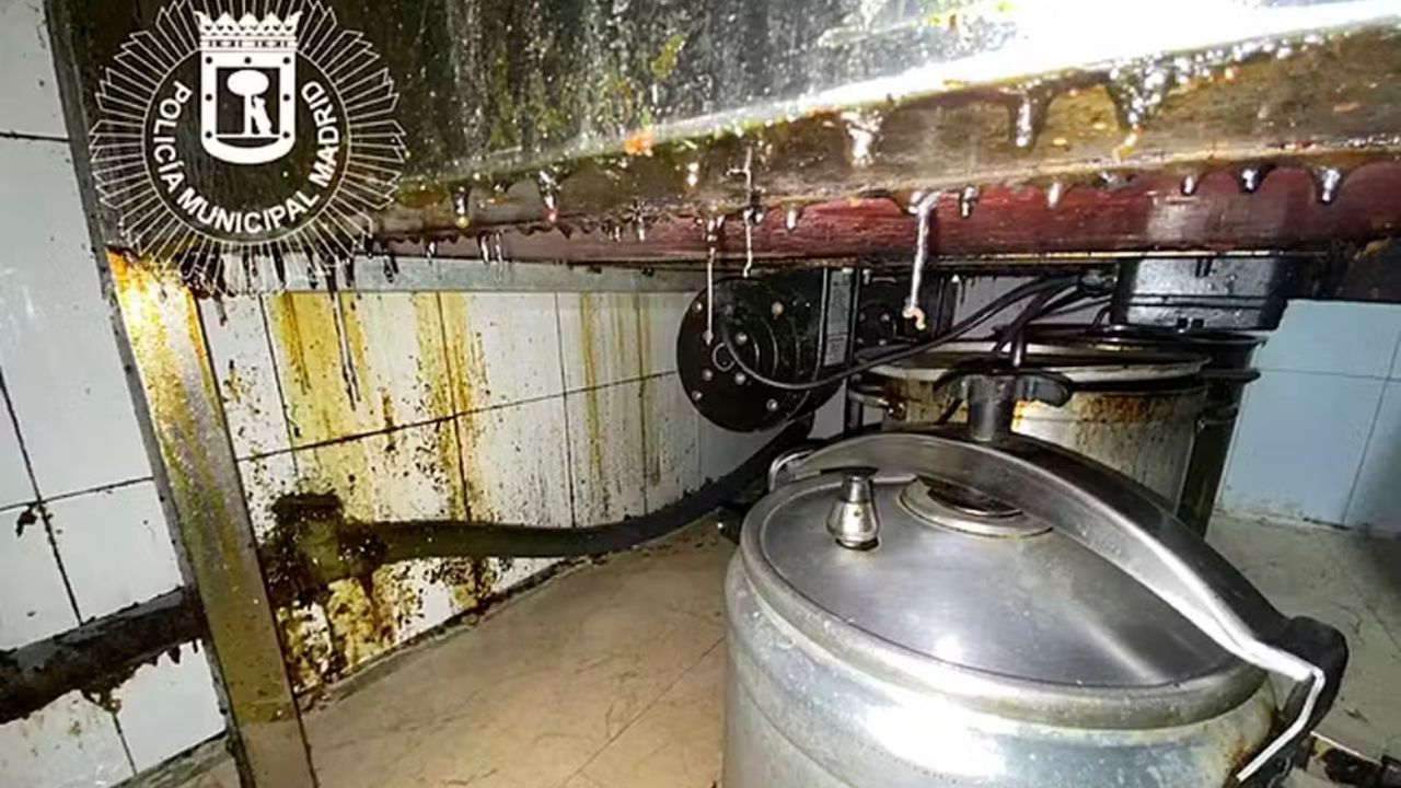 Com carne de pombo e alimentos estragados, restaurante é fechado em Madrid