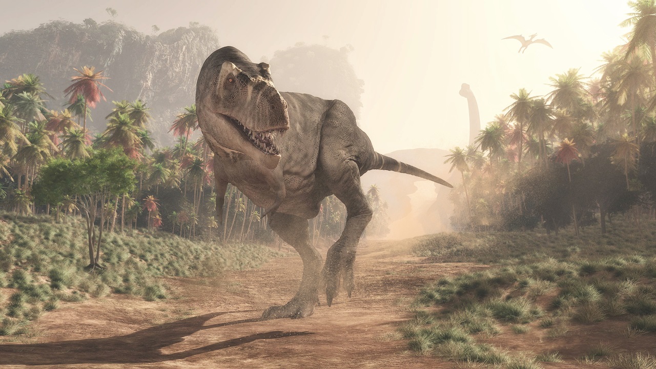Couro de T. Rex pode ser recriado por cientistas para uso inusitado