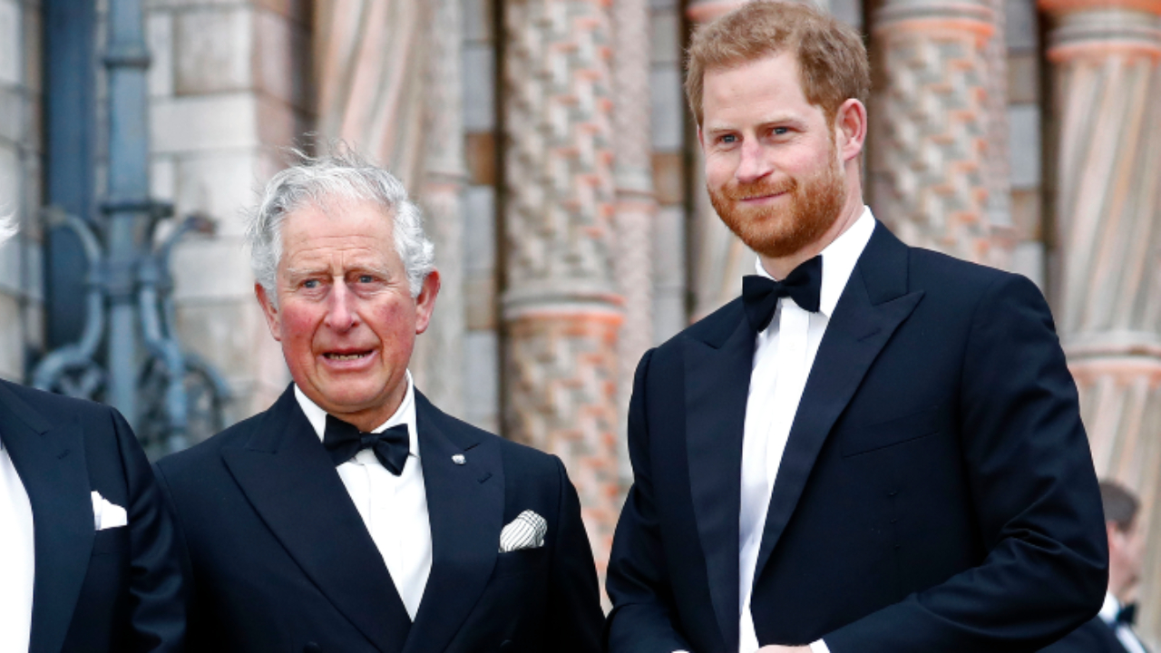 Rei Charles III estaria triste e perplexo com acusações de Harry sobre a família real