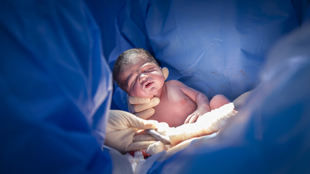 Pela 1ª vez bebê nasce através de ‘fertilização in vitro automatizada’