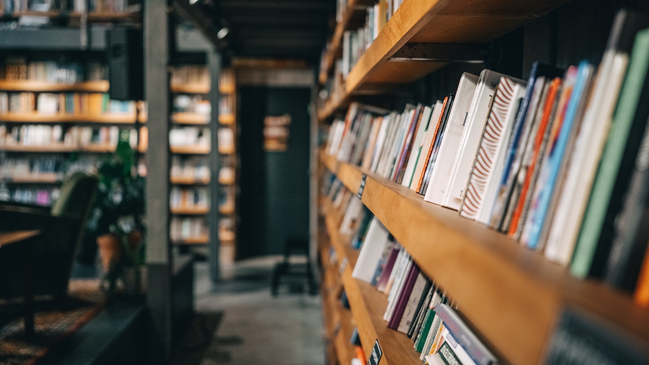 Literatura, cultura e história: Os pilares para compreender a sociedade atual