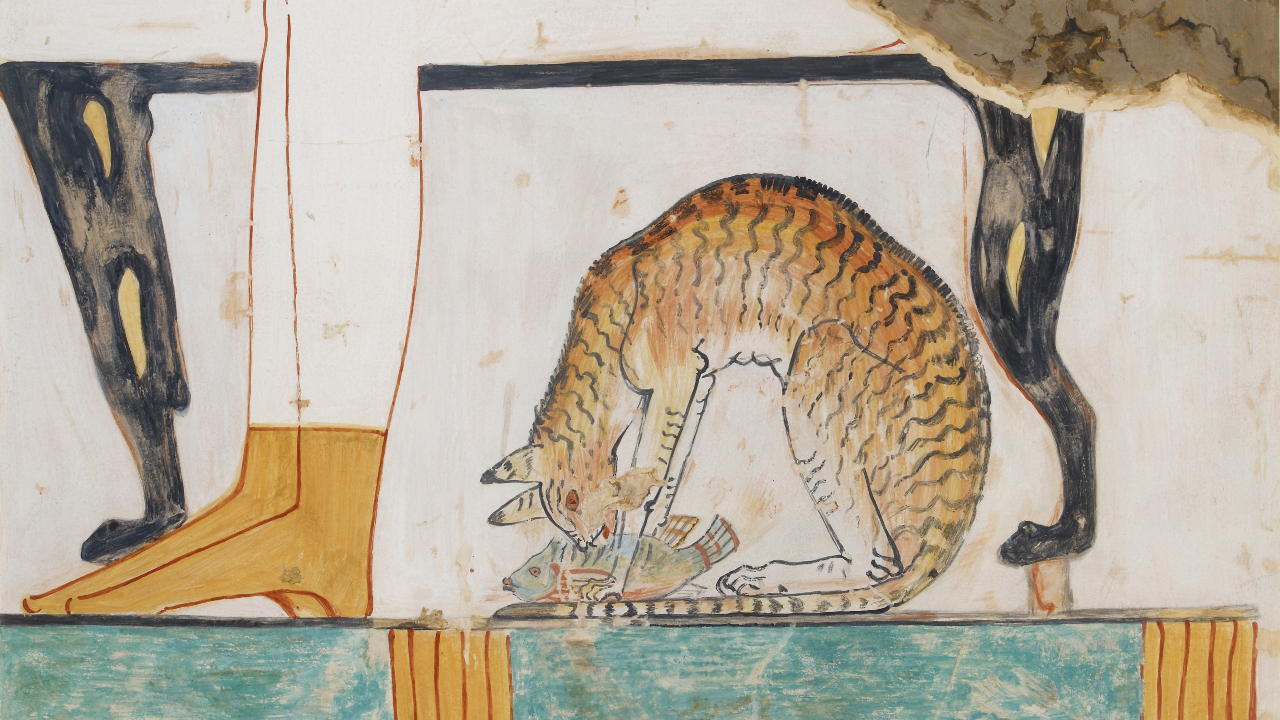 Domesticação de gatos possivelmente começou com sacrifícios no Egito antigo