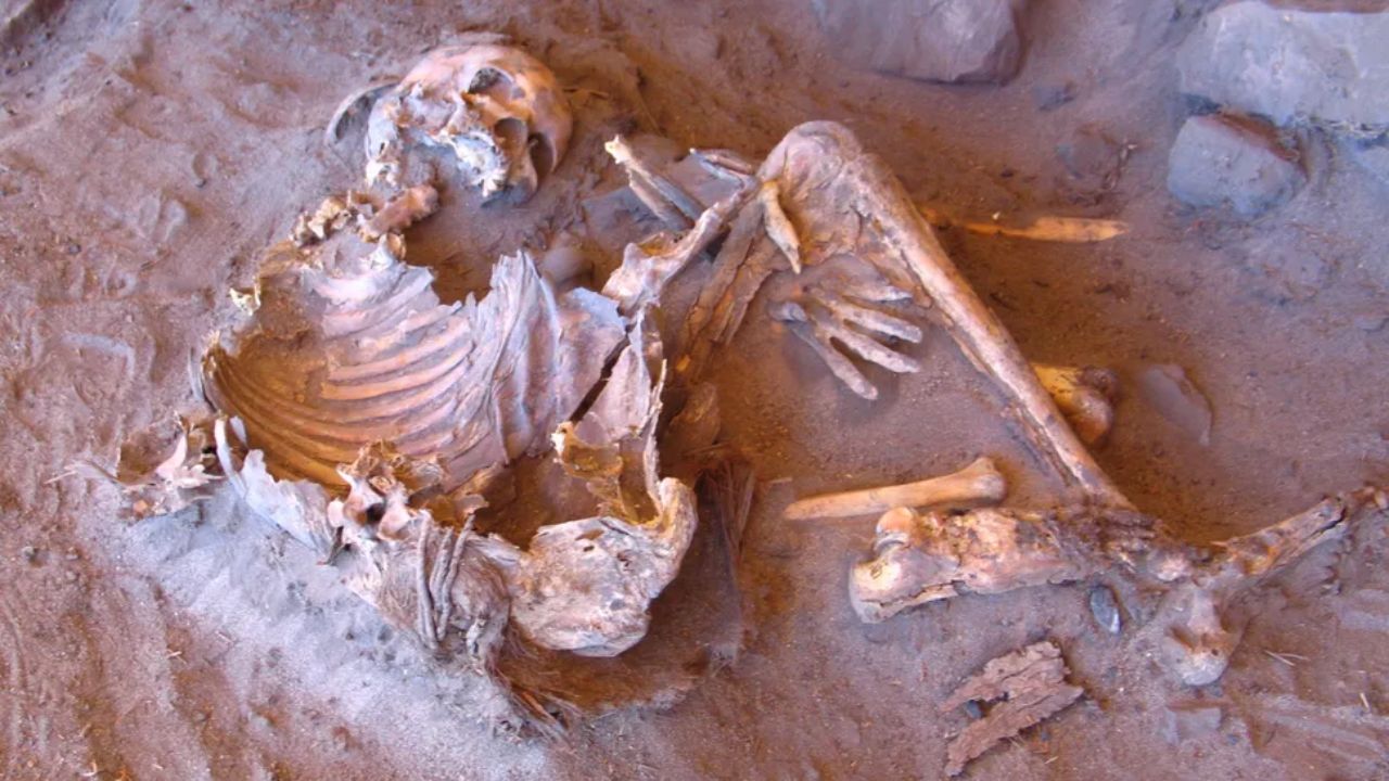 Descoberta genética aponta linhagem humana desconhecida no Norte da África