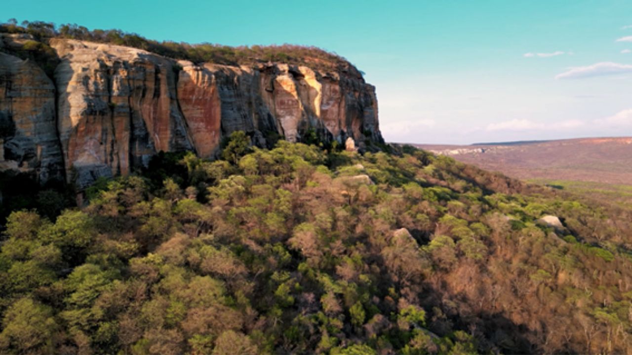 Documentário sobre o Brasil ancestral tem pré-estreia gratuita no MIS