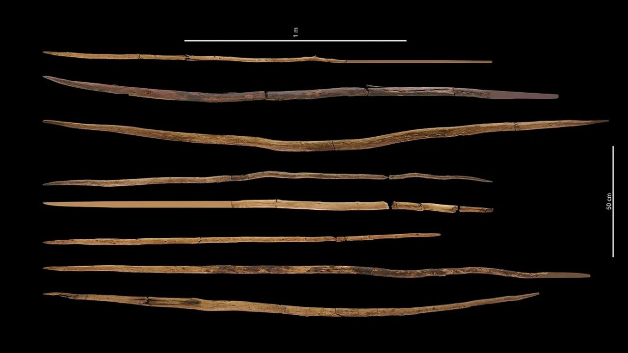 Lanças de madeira de 200 mil anos foram criadas por neandertais, sugere estudo