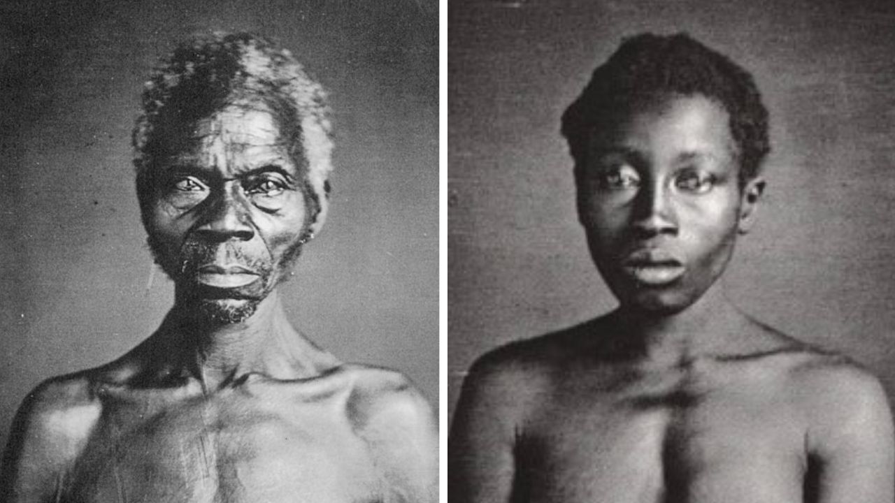 Harvard cede fotos de escravizados a museu após disputa com descendente