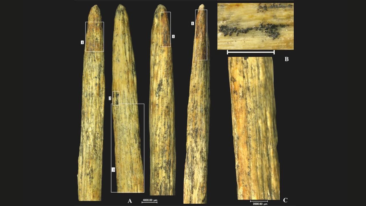 Neandertais criaram ponta de lança há 80 mil anos, a mais antiga da Europa