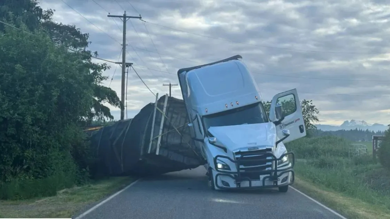 Caminhão com abelhas tomba e solta 250 milhões de insetos nos EUA