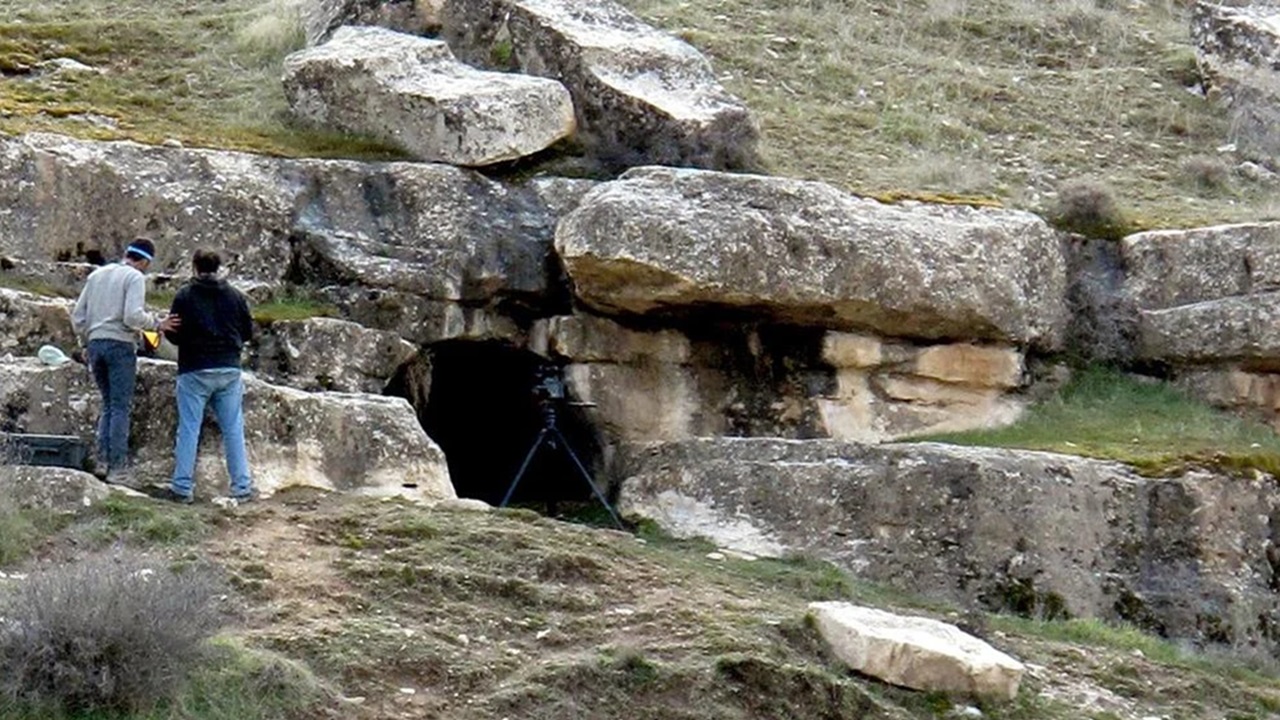 Caverna no Irã revela pistas sobre a convivência entre humanos e animais