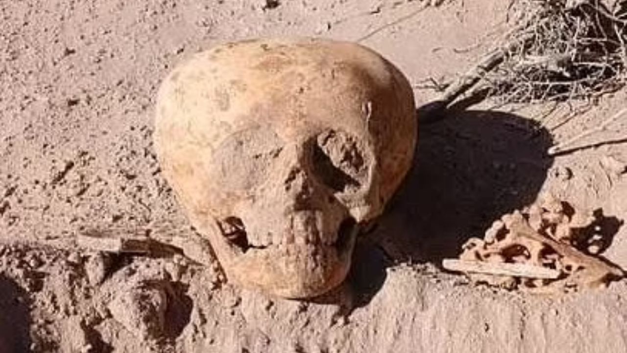 Na Argentina, descoberta de antigo crânio deformado intriga especialistas
