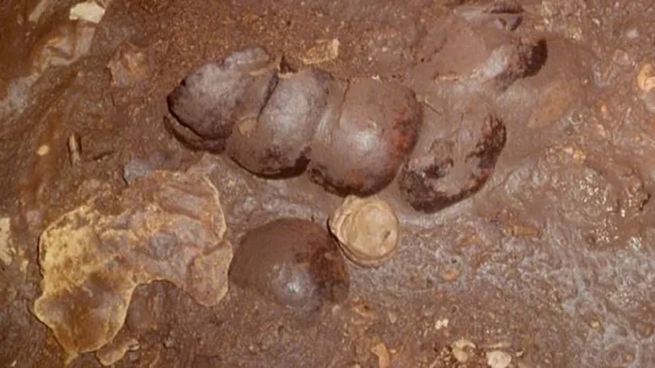 Arqueólogos encontram restos humanos de sacrifícios maias na Guatemala
