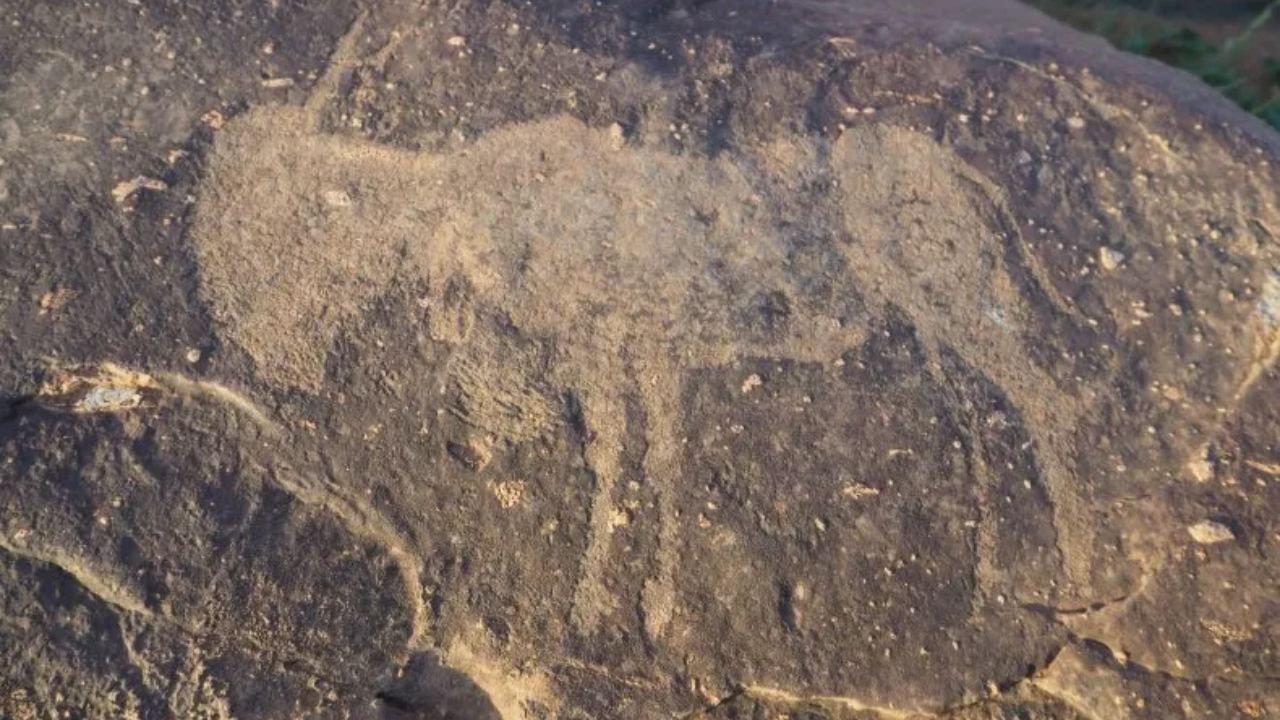 Os desenhos de 8.000 anos encontrados em cratera de impacto na África do Sul