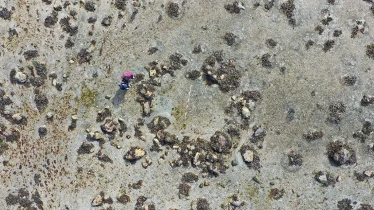 Círculos e ferramentas de pedra revelam migração ocorrida há 11 mil anos na Europa