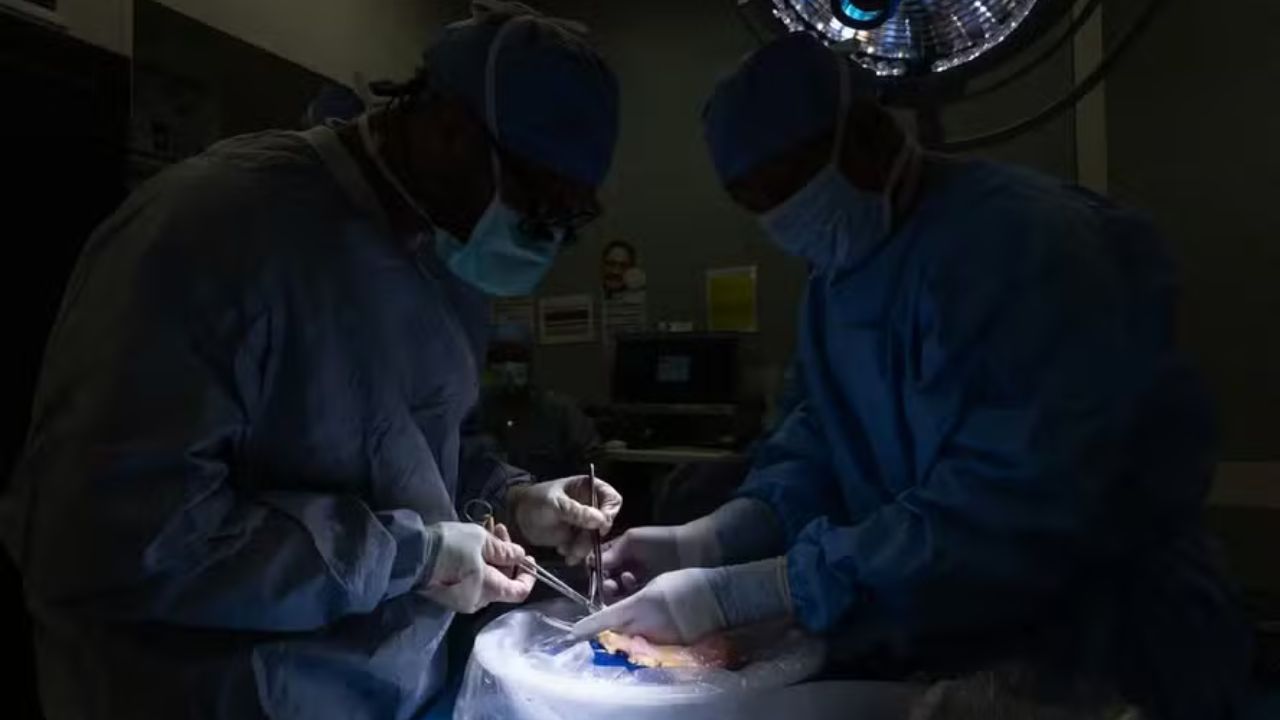Primeiro transplante humano de bexiga é realizado na Califórnia