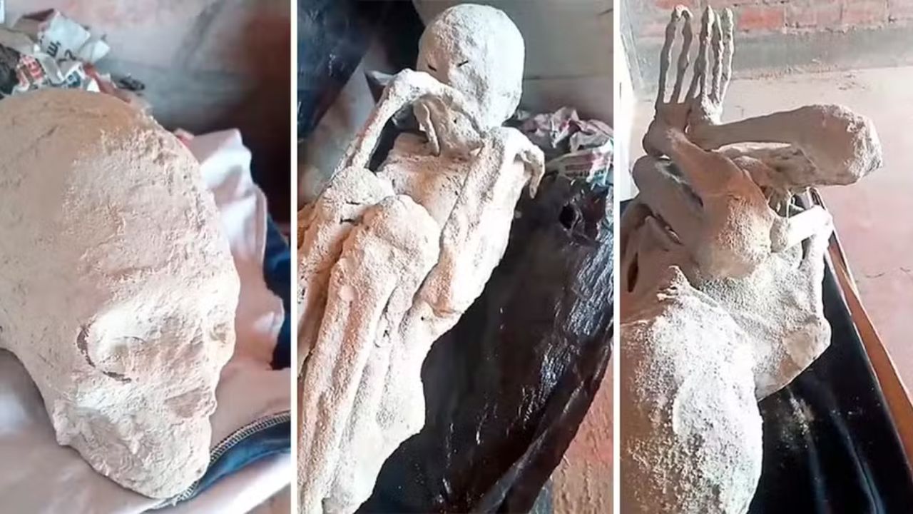 Múmias ‘alienígenas’ do Peru seriam reais, segundo novo estudo