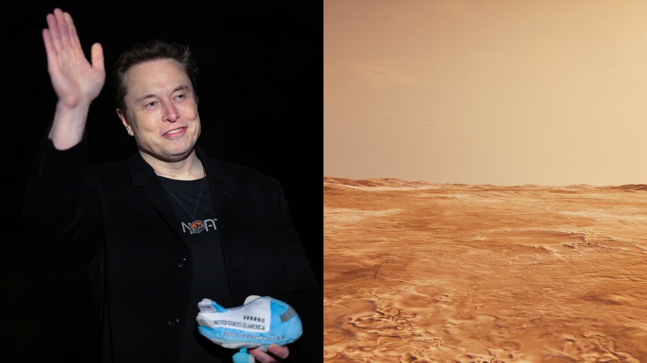 Elon Musk defende colonização de Marte como ‘seguro de vida’ da humanidade