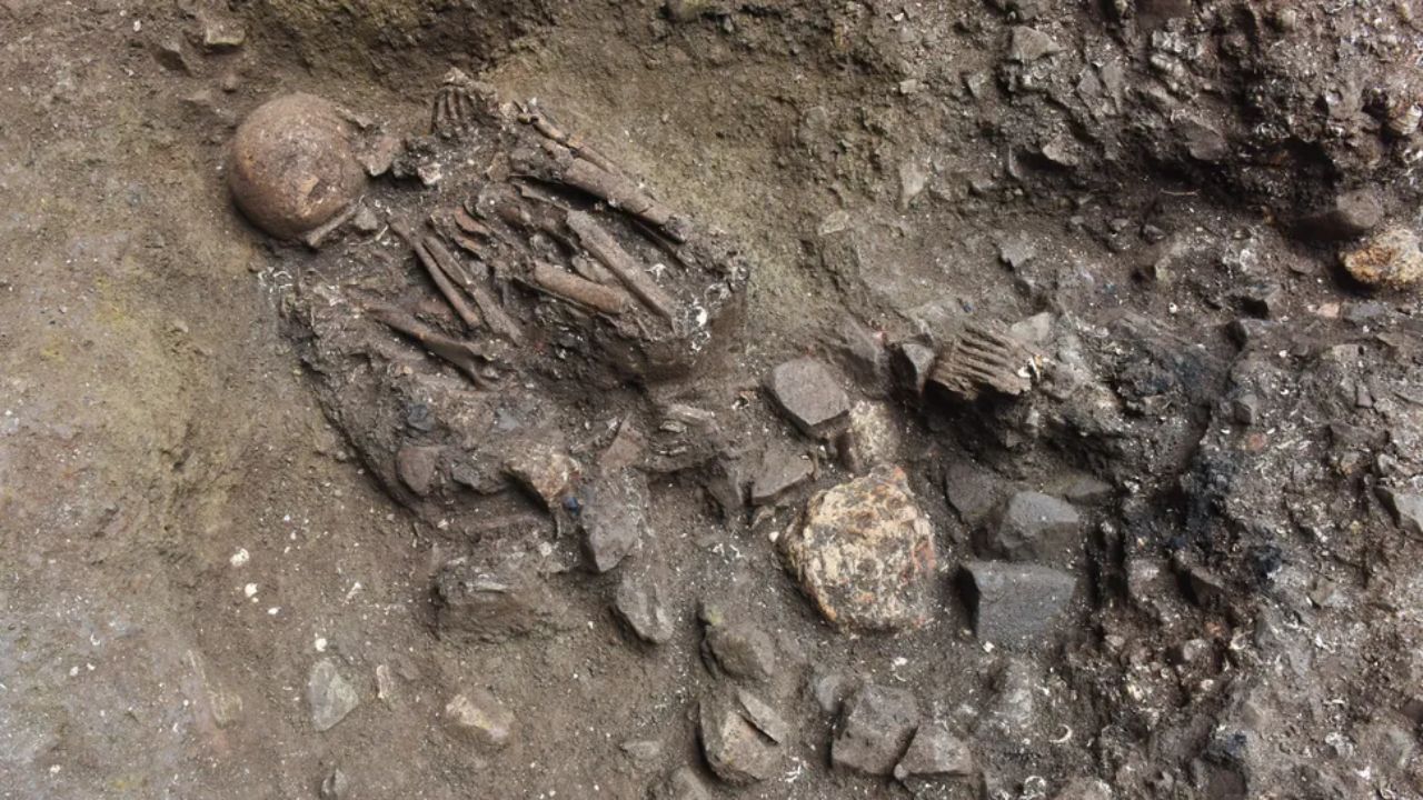 Esqueleto de 7 mil anos revela linhagem humana até então desconhecida