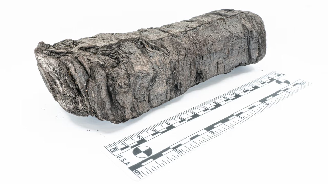 Raio-X revela autor e título de pergaminho carbonizado de Herculano