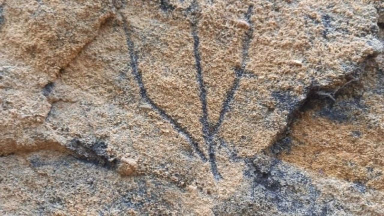 IPHAN reconhece inédito sítio arqueológico, com artes rupestres, encontrado na Bahia