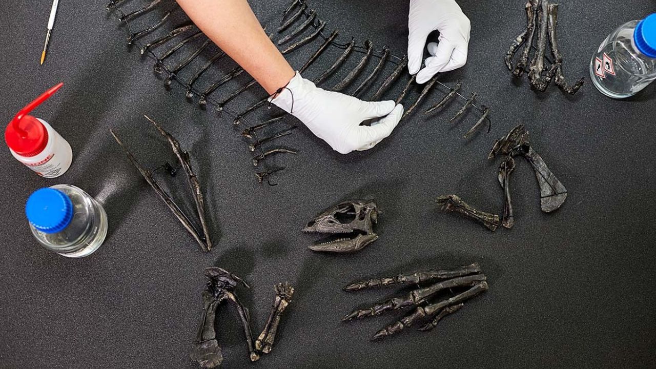 dinossauro