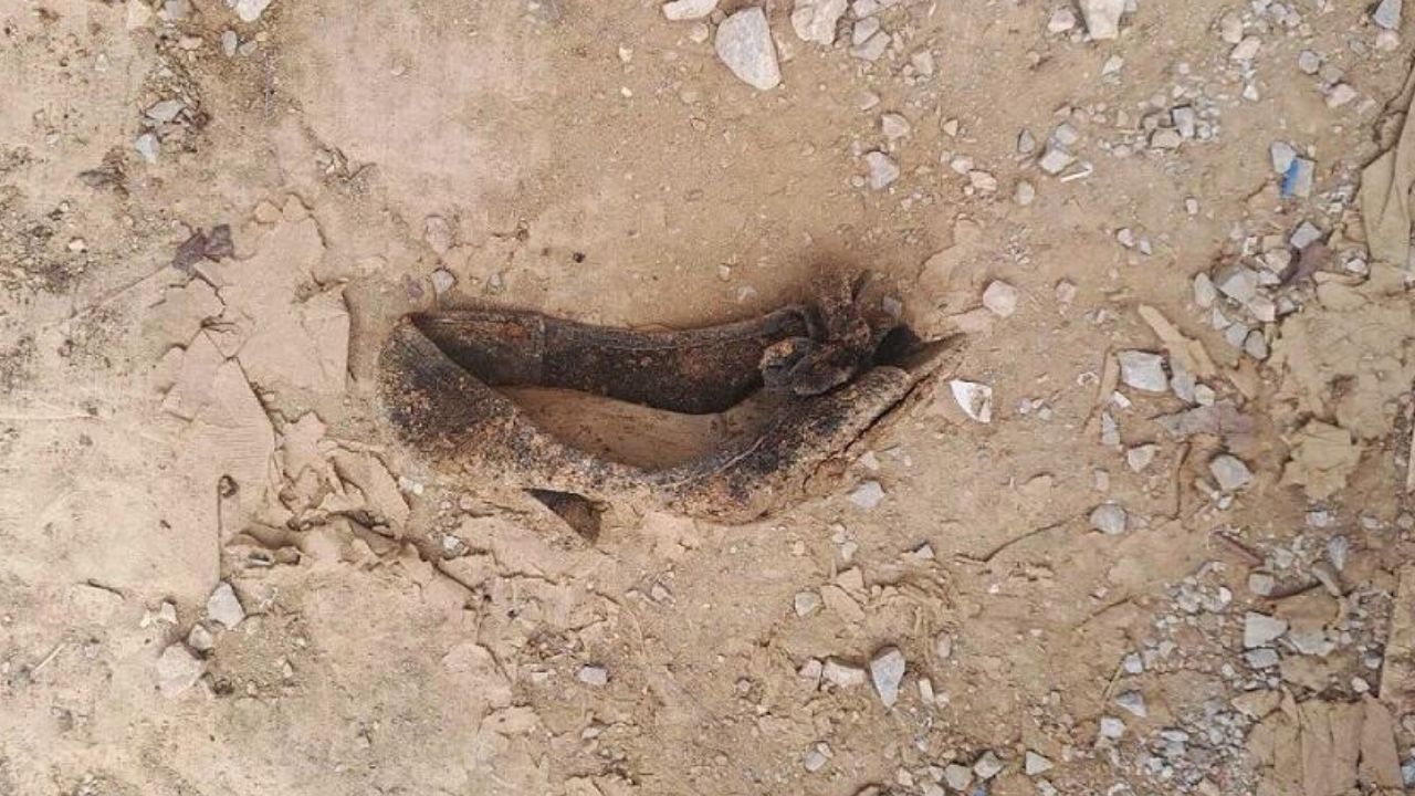 Corpos de 14 prisioneiros da Guerra Civil Grega são desenterrados em parque
