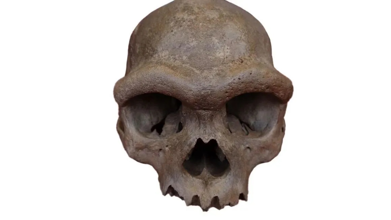 DNA do ‘Homem Dragão’ revela detalhes sobre antigos humanos pré-históricos