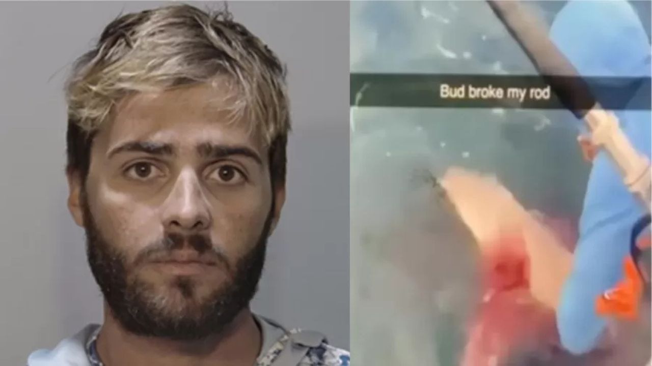 Pescador é preso nos EUA após esfaquear tubarão que mordeu peixe