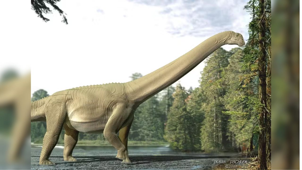 Dinossauros de pescoço comprido não mastigavam bem, aponta estudo