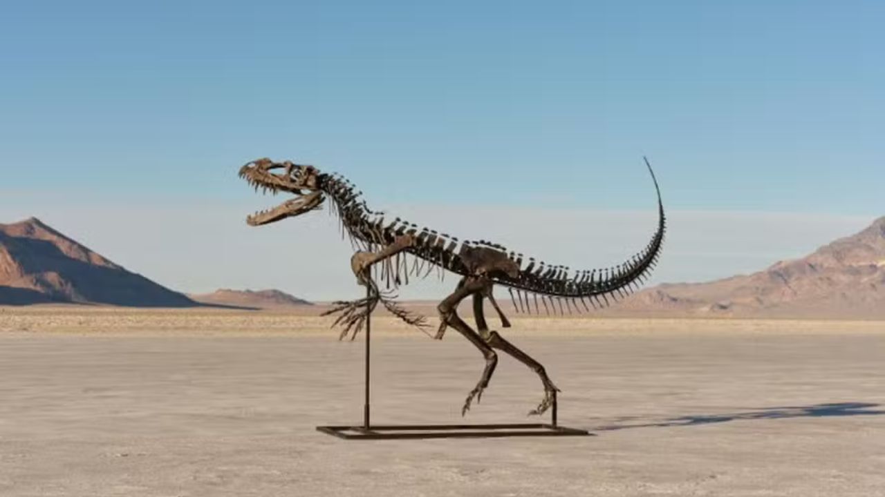 Fóssil de dinossauro de 150 milhões de anos pode ser leiloado por até R$ 32 milhões