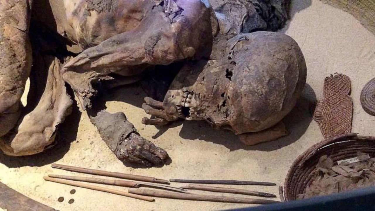 A múmia de 5.600 anos que revelou a receita de embalsamamento egípcia mais antiga