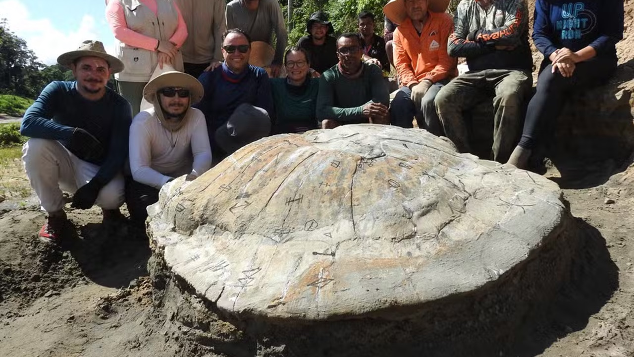Fóssil de tartaruga gigante de 13 milhões de anos é encontrado no Acre