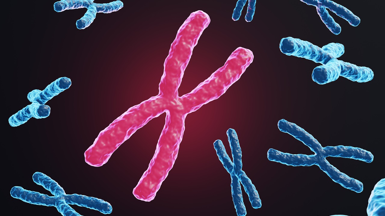 Cientistas dão primeiro passo para criar cromossomo humano sintético