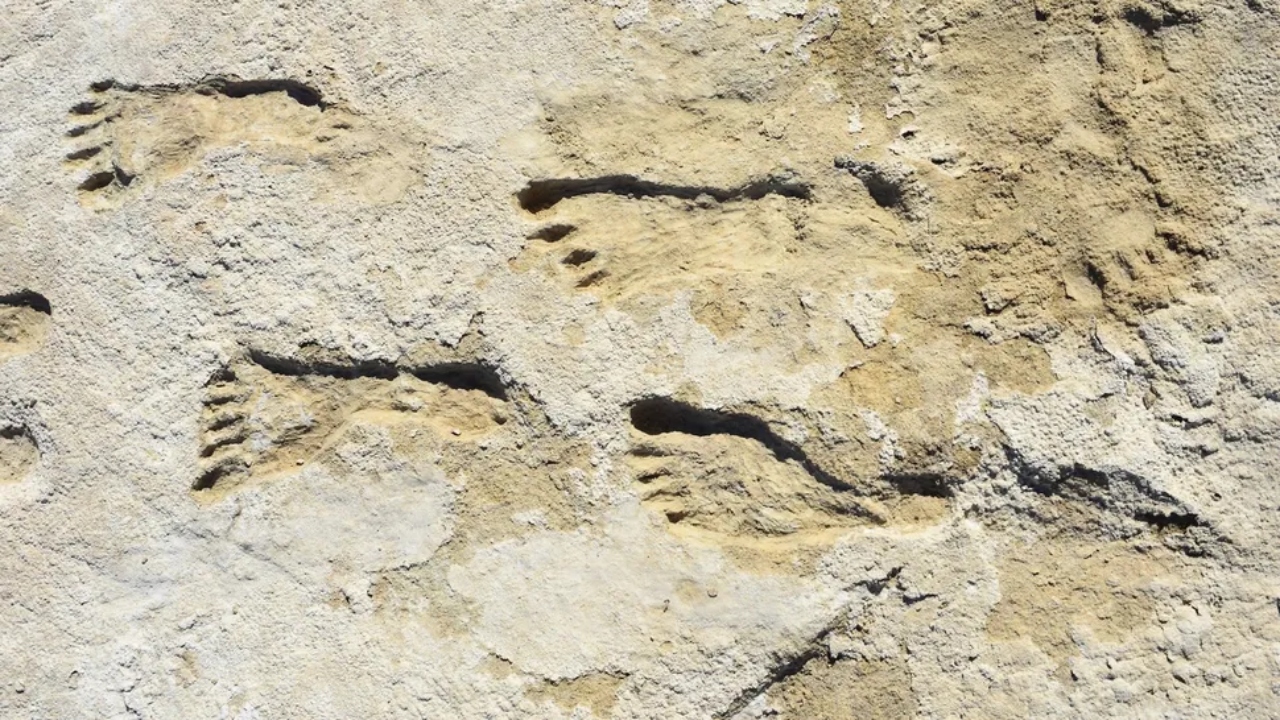 Pegadas sugerem que humanos já estavam nas Américas há 23.000 anos