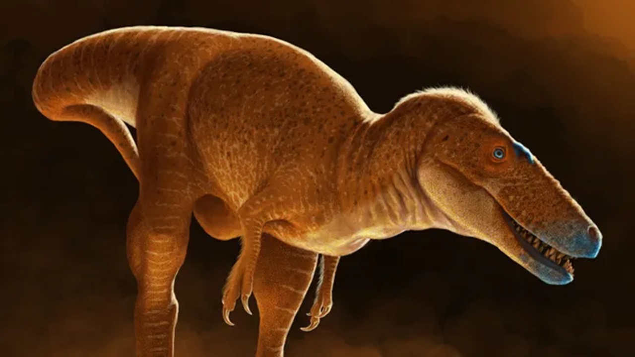 ‘Príncipe Dragão’: Veja o parente do T. Rex que viveu há 86 milhões de anos